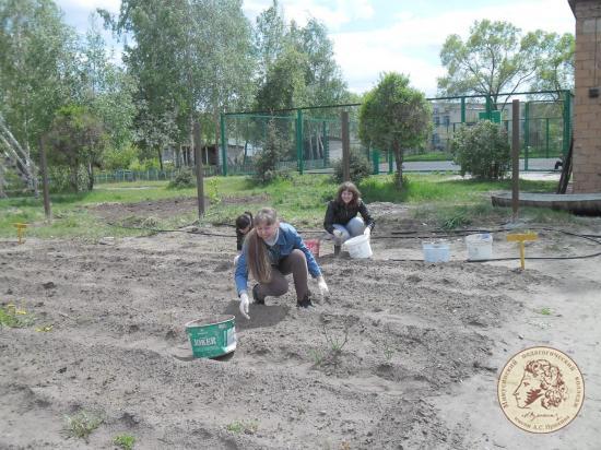 Волонтёры 171 группы помогали в благоустройстве территории КГКОУ 